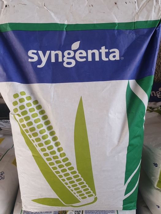 Продам семена кукурузы