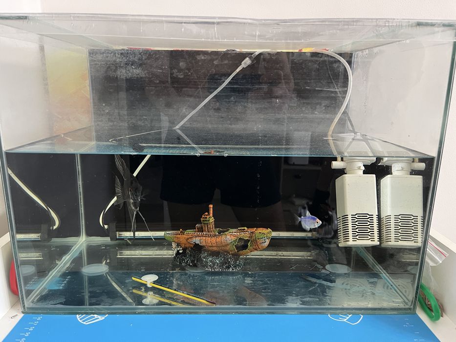 Продам аквариум(в комплекте) + рыбки (50л)