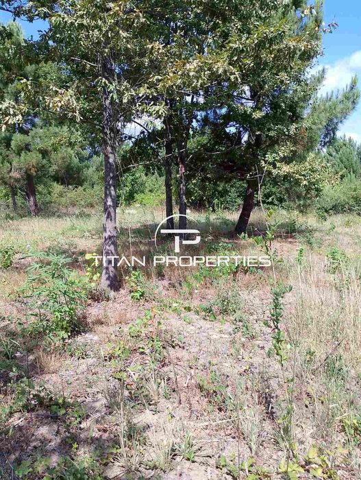 Продава се Парцел в Царево - 1934 кв.м за 40 €/кв.м - Снимка #2