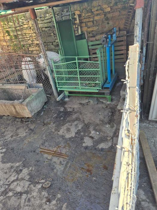 Домашни Прасета - 7 лв./кг.