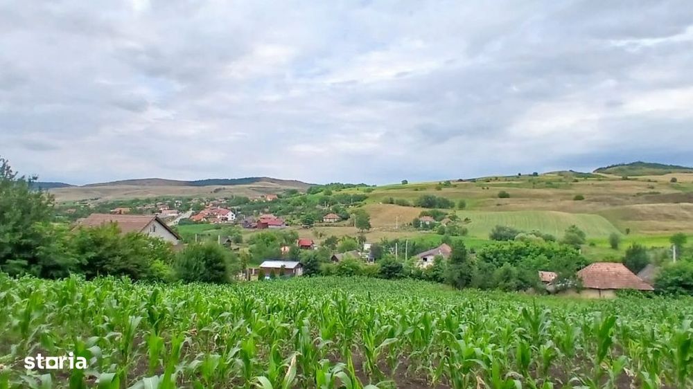 Vanzare teren intravilan cu casa veche in Camarasu, Cluj