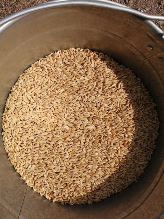 Зерноотходы.Платный чат! Все корма.