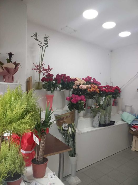 Vand spatiu comercial Gara de nord cu chirias stabil