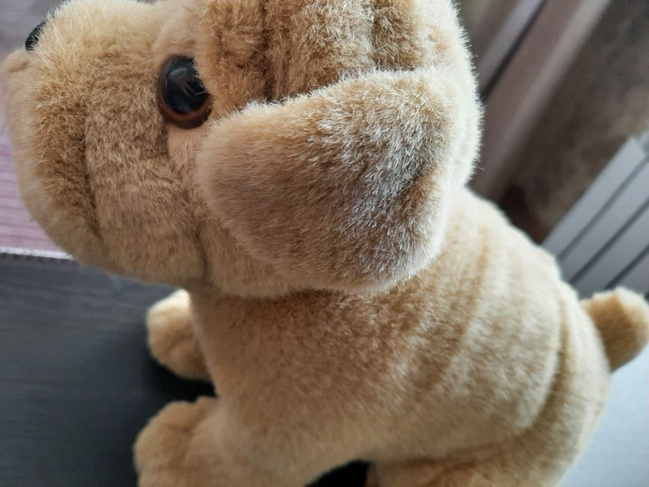 Собака (игрушка)!