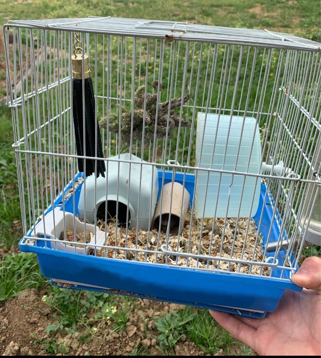 Vand hamster cu cusca