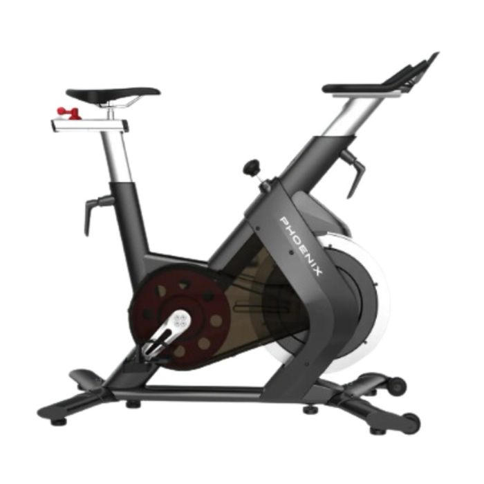 Сайкл  proflex s 210