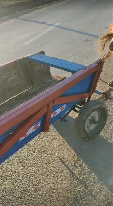 De vânzare o căruță pentru ponei