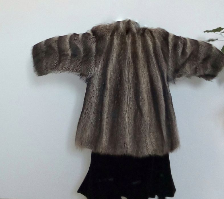 Италия, енот, новая