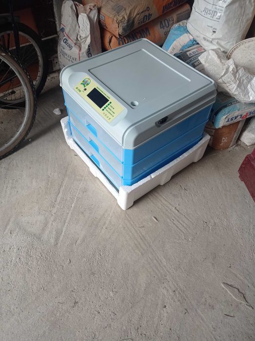 Incubator de ouă de vânzare