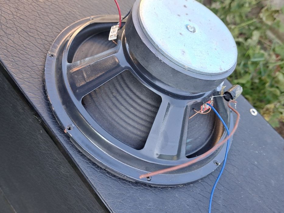 Difuzoare 10 inch  akai X10