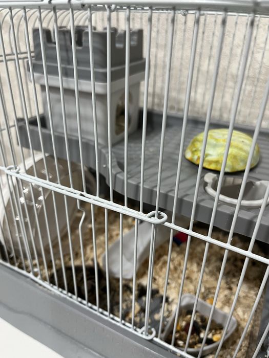Продам хомячка с клеткой