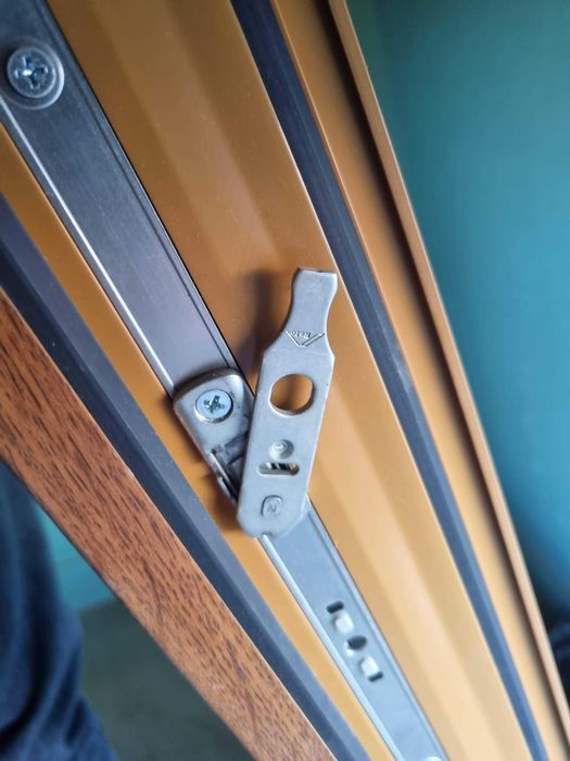 Usa termopan Salamander bluEvolution