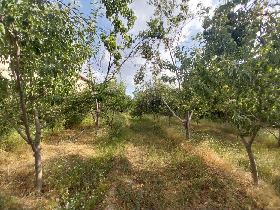 Ер участка сотилади. Самарканд вилояти Ургут тумани (Urgut shaxar emas