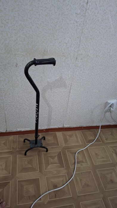 Трость.      паук