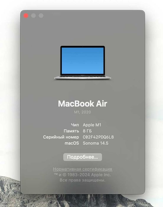 MacBook Air M1 2020 + Magic mouse gen. 2