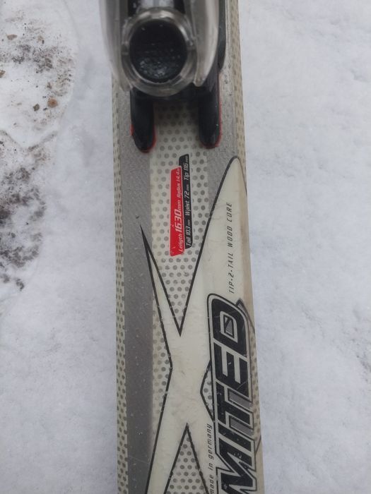 Лыжи горные продам.