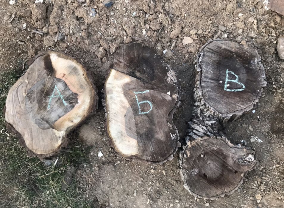 Орехови шайби  - сухи