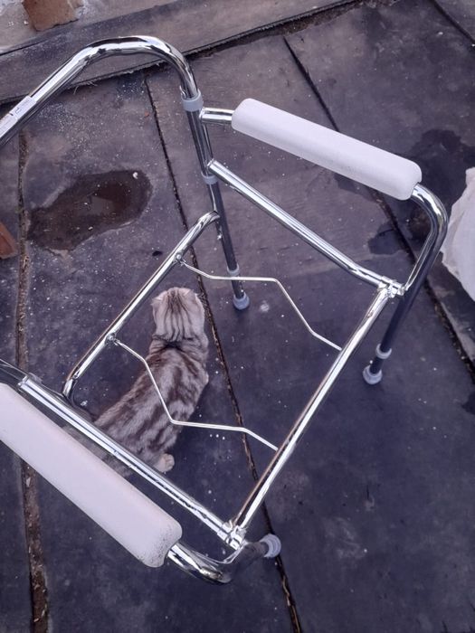 Унитаз для людей на больничном