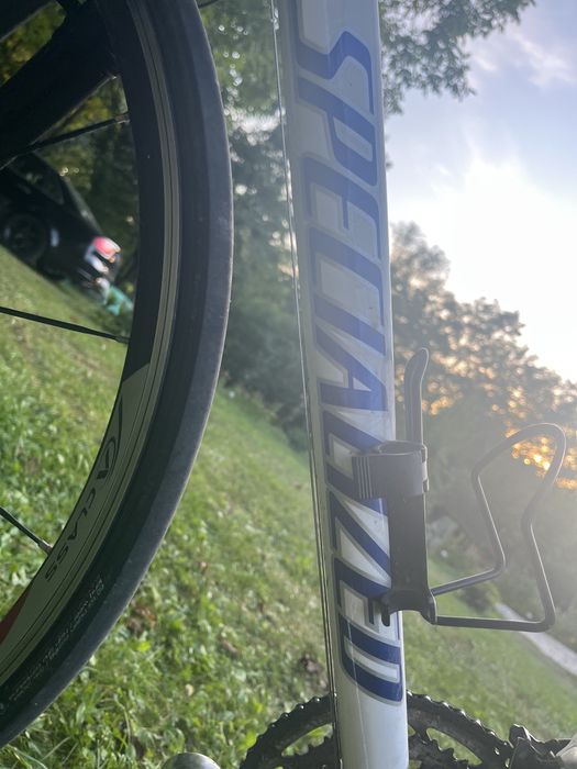 Cursiera Specialized Elite