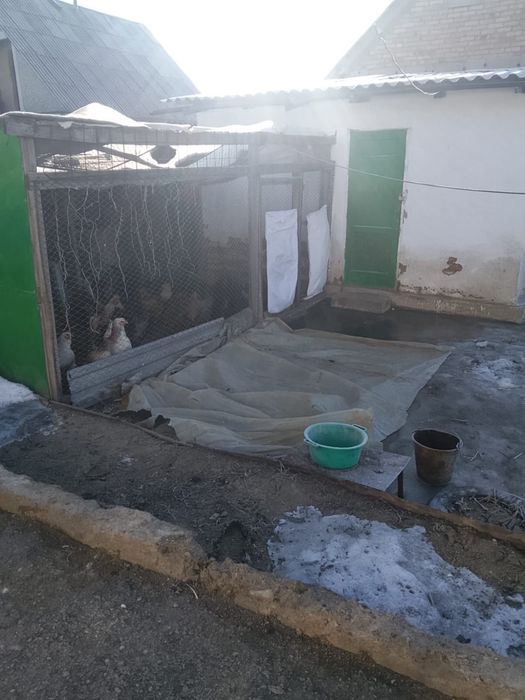 Продается дом (2-комн), Дачное общество Каратал