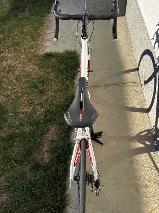 Bicicleta cursiera ShockBlaze Pro S7 2x10v Campagnolo