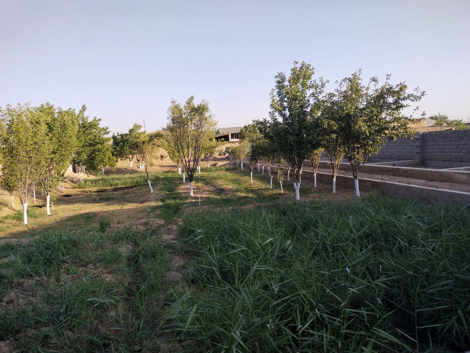 Ховли сотилади ...