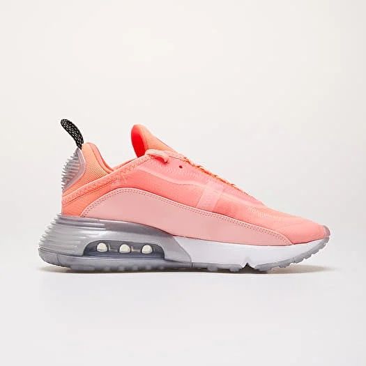 Nike W Air Max 2090