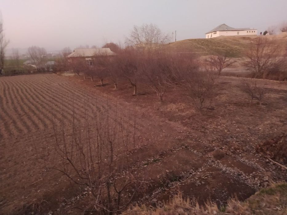 Surxandaryo viloyati  Qumqorgon tuman Ariqoshgan MFY  uy  oshxona yeri