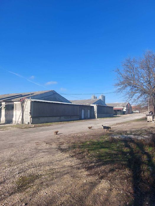 Собственик продава функционираща ферма за отглеждане на 40000 бройлери