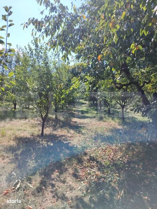 Casa cu teren, livada, lac si izvor - ideala pentru locuinta sau inves