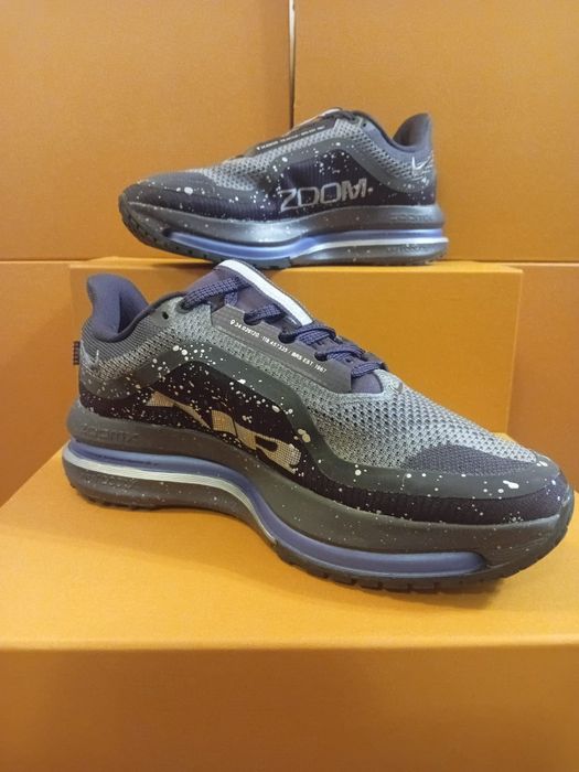 New model Nike Pegasus