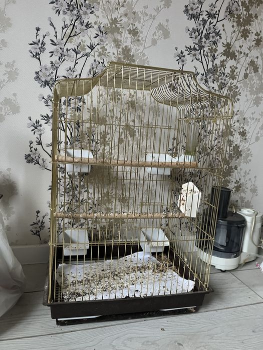 КЛЕТКА ДЛЯ ПОПУГАИ срочно продается