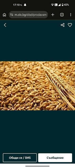 Продавам ечемик реколта 2026