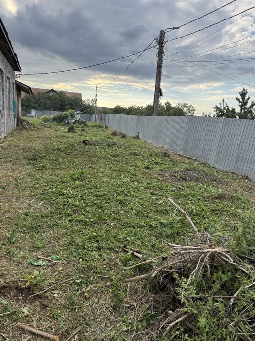 Curat gradini / Curat terenuri