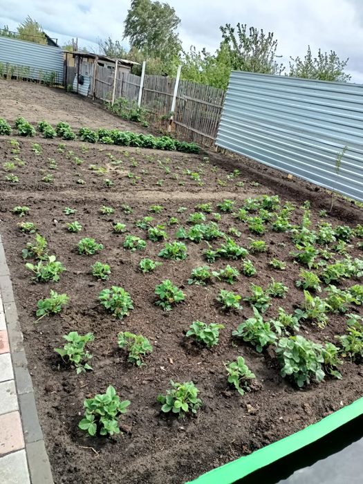 Дача текстильщиков2