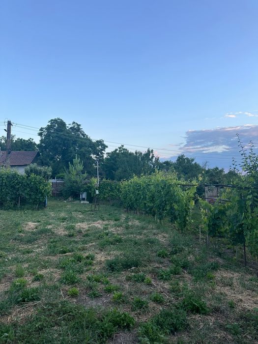 Teren de vânzare,Persunari