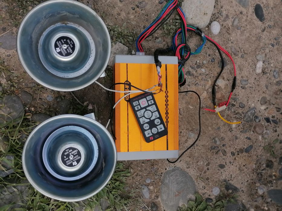 Амереканка сирена