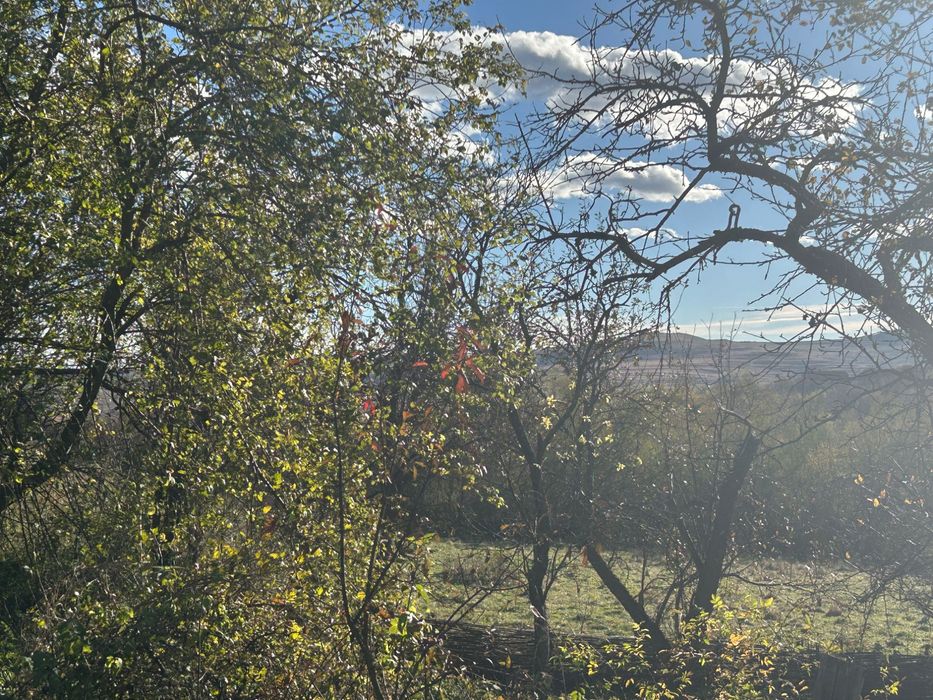 Vinde Teren intravilan 1.415 mp Zonă premium Comuna Ciurila 65 €/mp