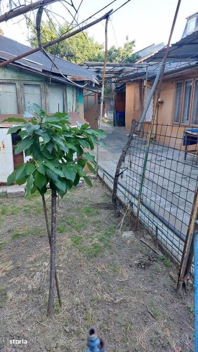 Braila, Teren  390 mp cu casa degradata - CENTRAL