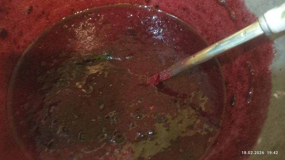 Чёрная смородина дачная