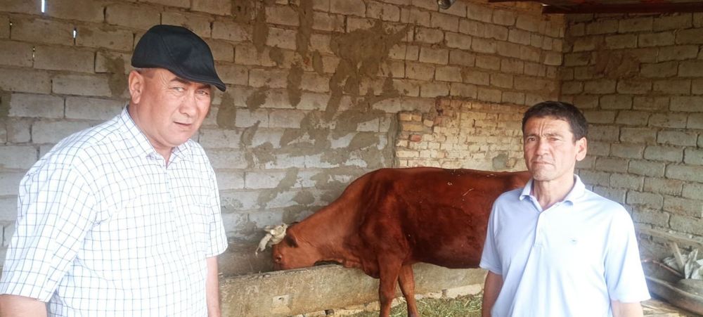 Корамол сотиш зотдор