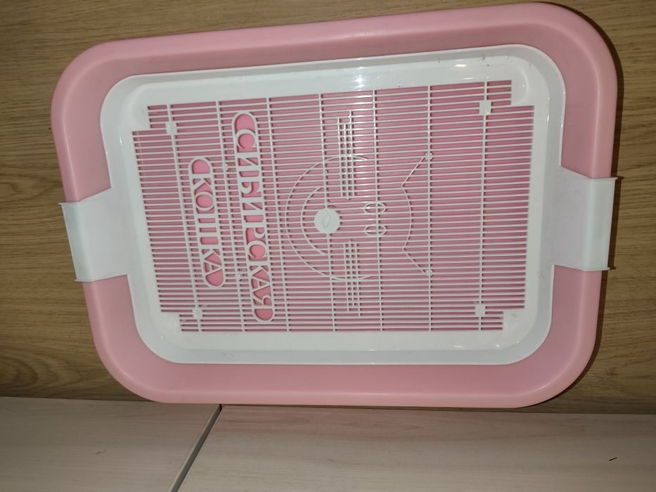 Всё для кошки. Цена за всё вместе