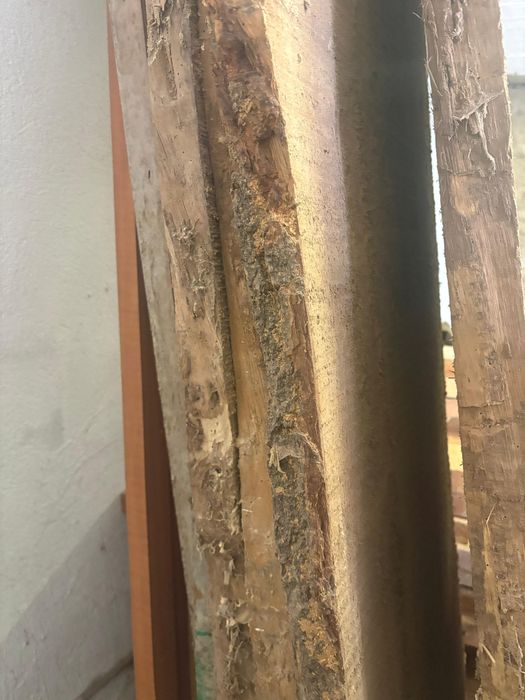 Дубовые доски срочно поодам