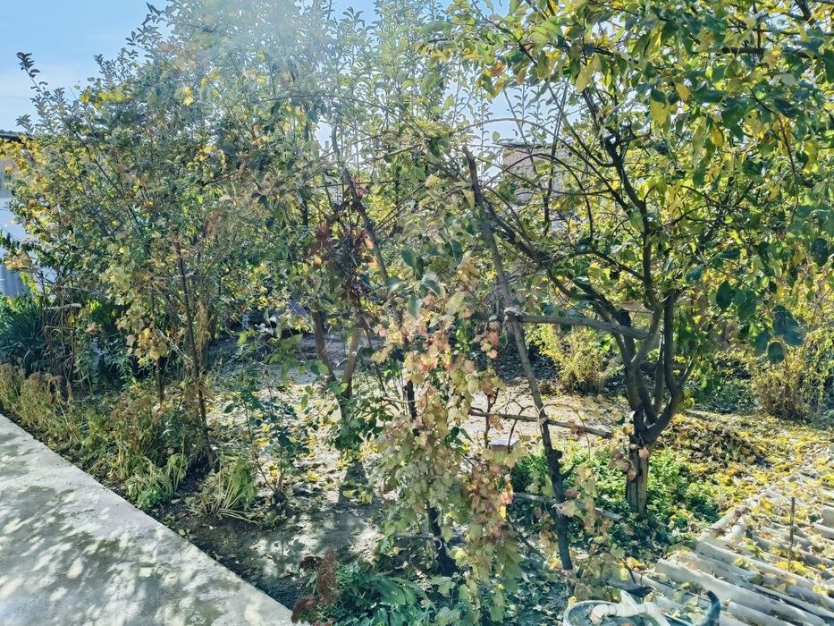 Сабзавот,Чоштепада 9 хоналик ховли 3.8 соток ери билан сотувда