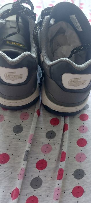 Adidasi lacoste barbati