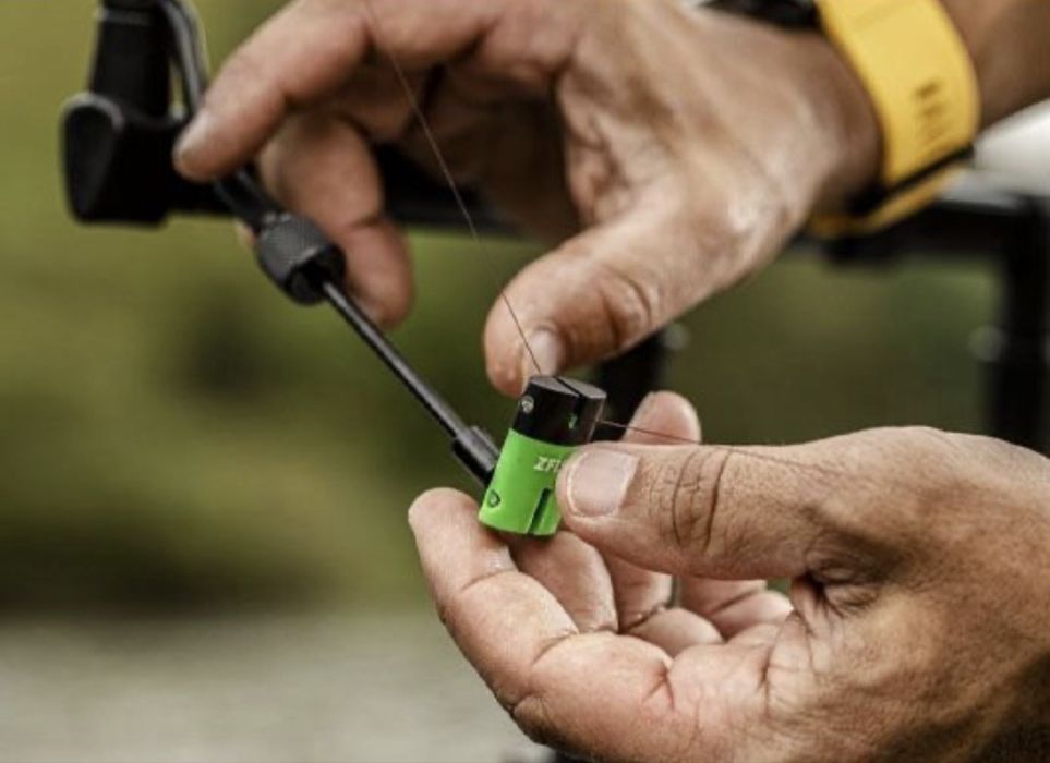 Swingher zgish PESCUIT