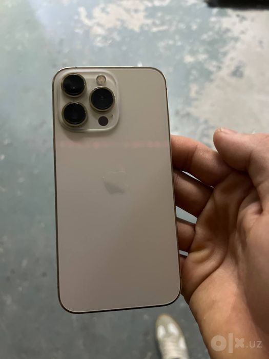 Iphone 13 pro radnoy