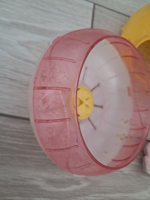 Хомячки все для них.