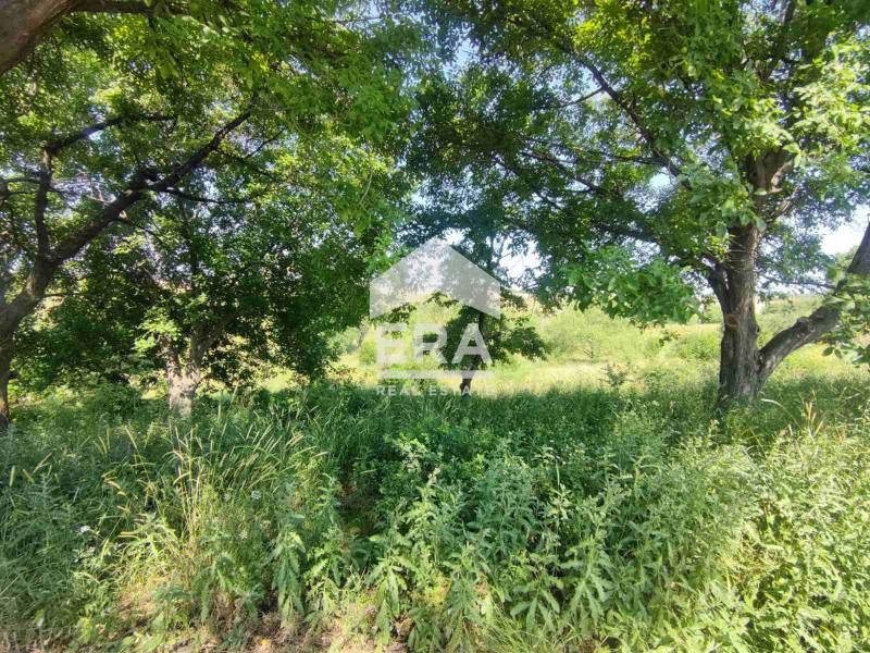 Продава се Парцел в Хасково, Промишлена зона - Изток - 1000 кв.м за 24 €/кв.м - Снимка #2