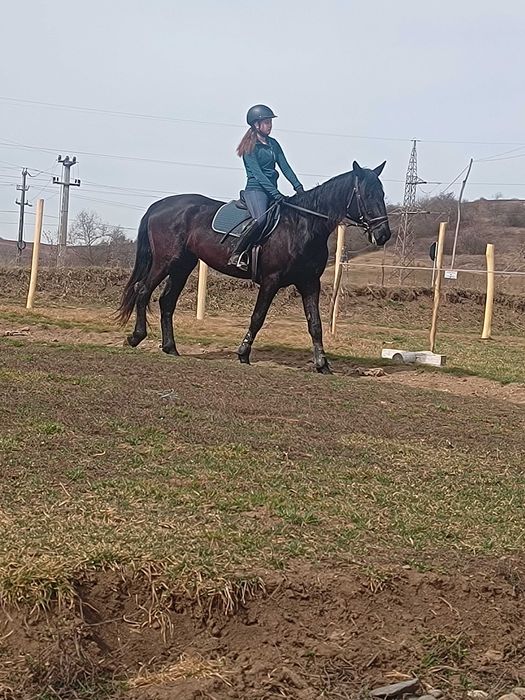 Echitație, lecție de manej